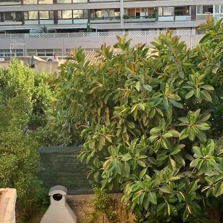 Il Corso בית הארחה *