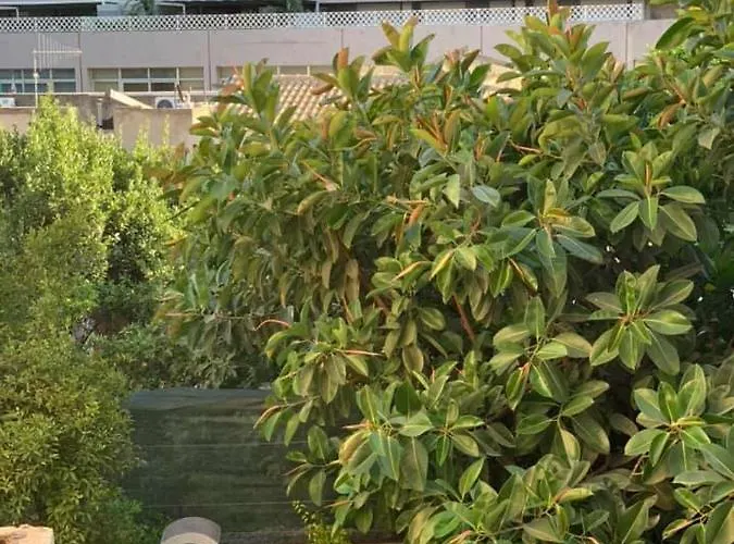 Il Corso Гостевой дом *